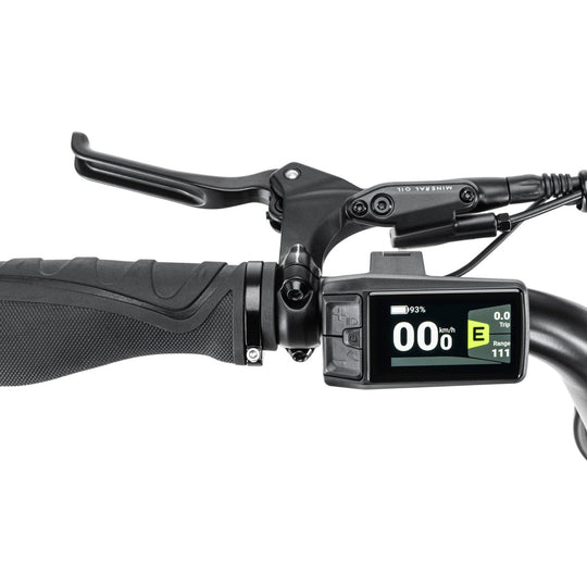 STOER Bikes Urban X - Fatbike - Groen